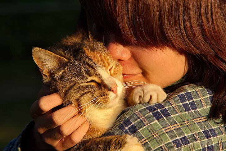 Holy Meow! Het is Internationale Kattendag!