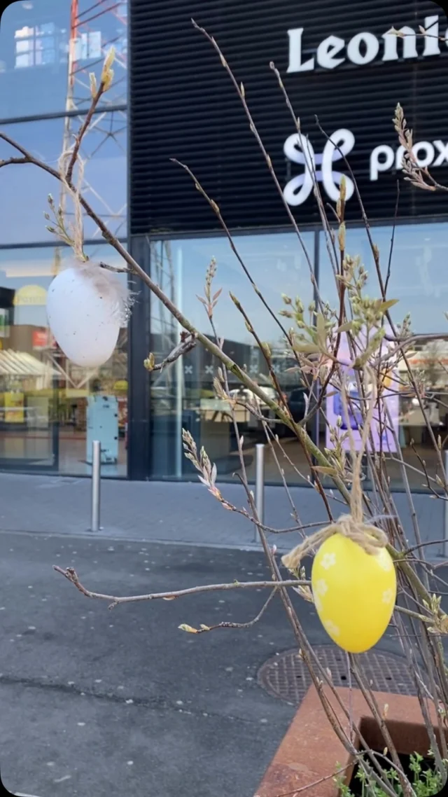 Wij zijn vandaag gesloten. Onze winkels verwelkomen je graag morgen opnieuw. 

Tot morgen! 

🛍️ Leonidas, Twice As Nice, H&M, Nike Factory Store, ICI PARIS XL, Panos, Proximus en HEMA
📍Boomsesteenweg 37, 2627 Schelle

#paasmaandag #feestdag #gesloten #winkelcentrum #a12shopping #schelle #antwerpen